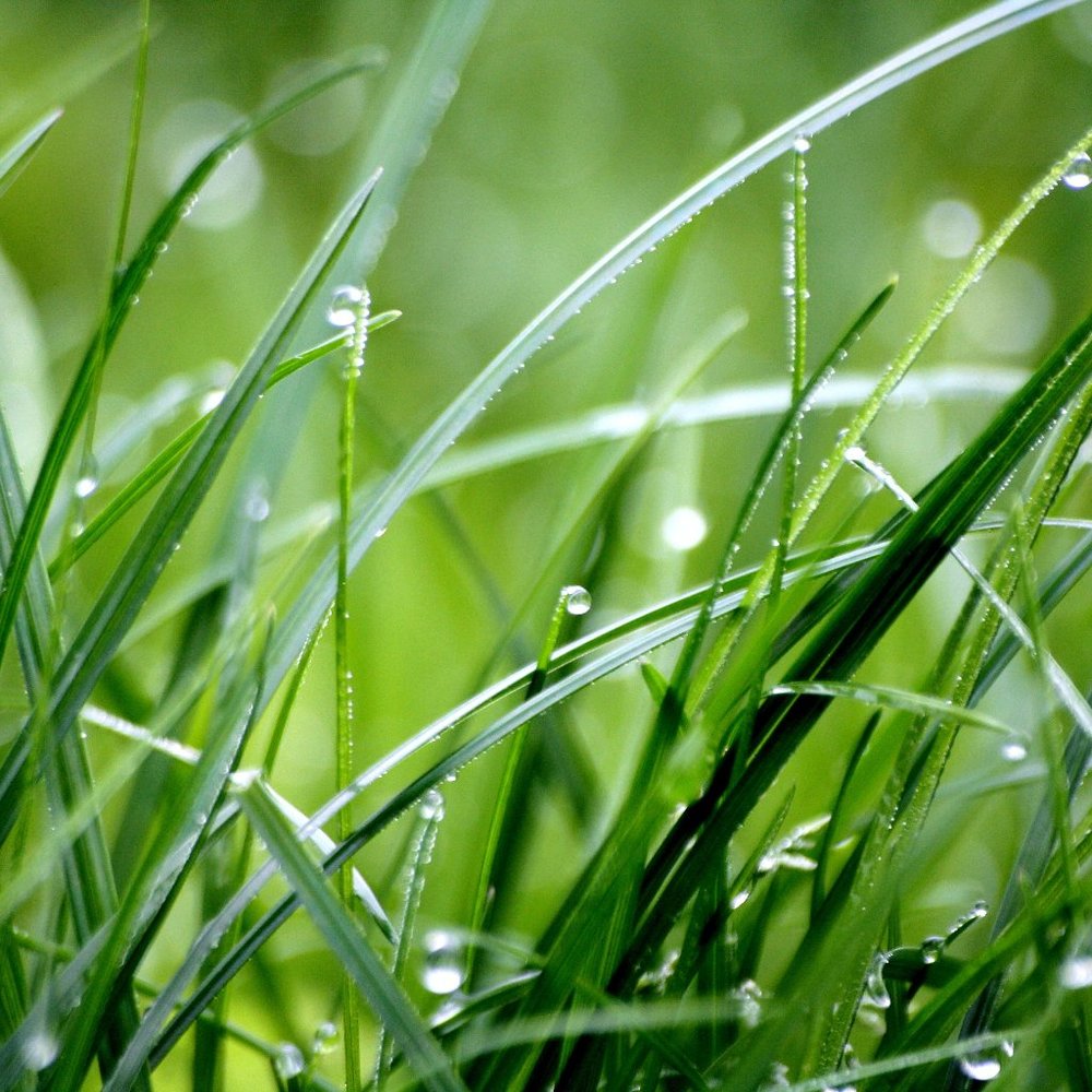 Meet your Posher, Zoe Ava